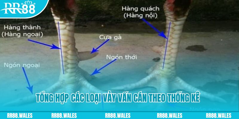 e2bet casino hồ tràm có cho người việt vào không