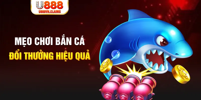 e2bet gà chọi cam ranh