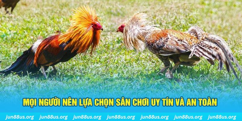 e2bet Cỡ bảy