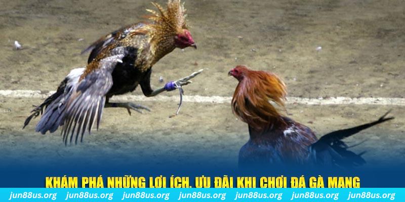 e2bet đăng nhập liêng live