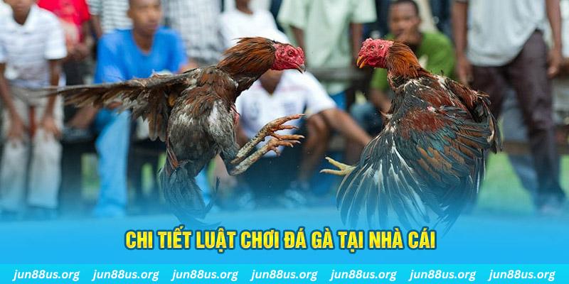 e2bet đá gà thomo