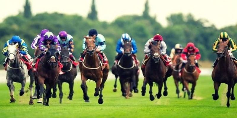 e2bet đăng nhập roulette trực tiếp