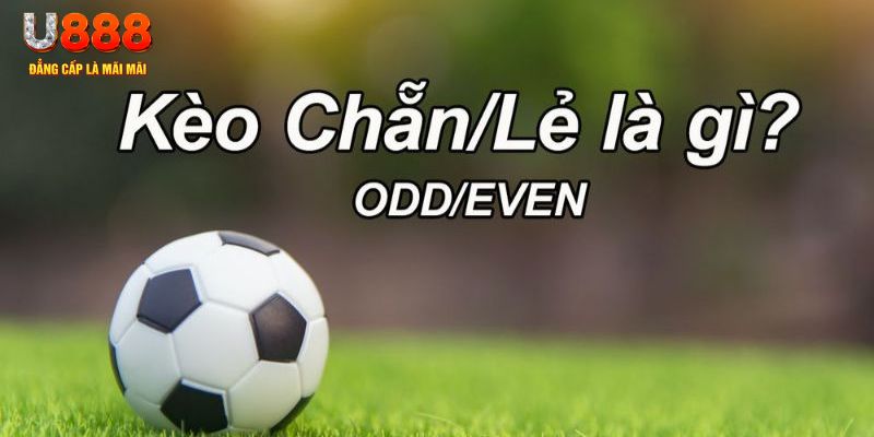 e2bet đăng nhập sòng bạc 2024