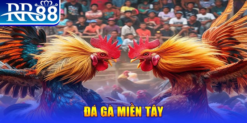e2bet người chia bài trong casino gọi là gì